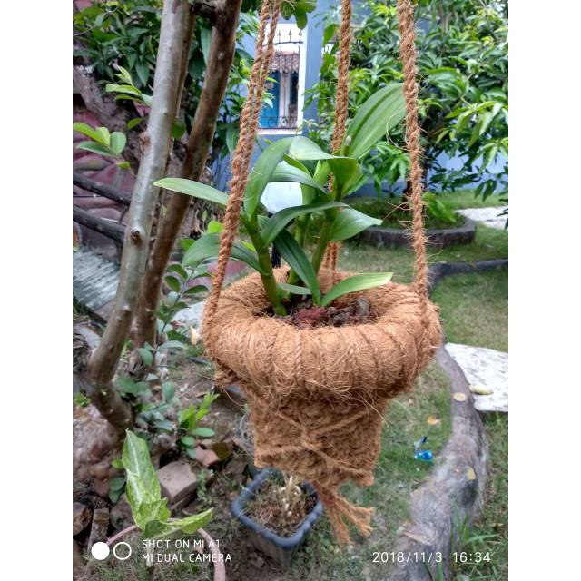 Pot gantung sabut kelapa alami