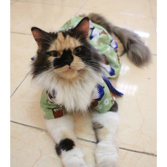 Dress hanbok kupu-kupu hijau lucu untuk kucing dan anjing size S M L XL