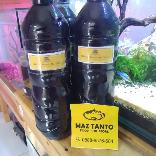 

Ekstrak Sari Ketapang Maz Tanto , Kemasan 600 ml