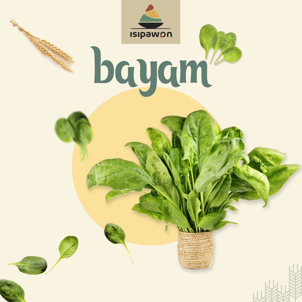

Bayam Hijau /1 Ikat/Segar/Sayur/Per/Pasar Online/Spinach