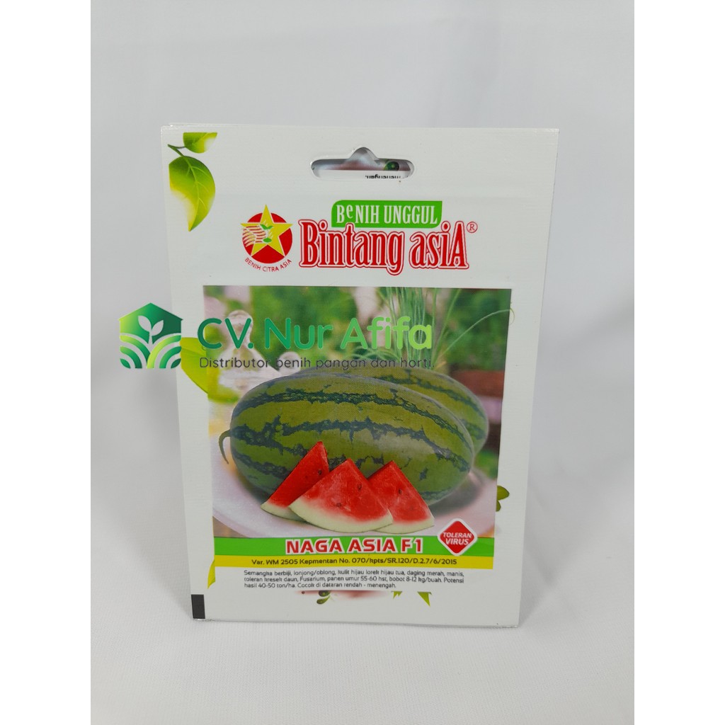 Benih Semangka Naga ASIA F1 2 gram - Bintang Asia