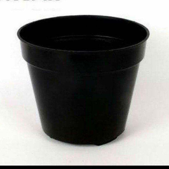 Pot Hitam Diameter 8cm | Pot Sukulen | Pot Bunga