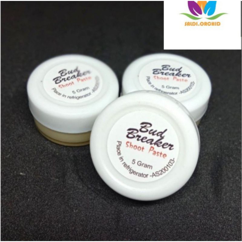 BUD BREAKER PENUMBUH TUNAS ANGGREK (5gram)
