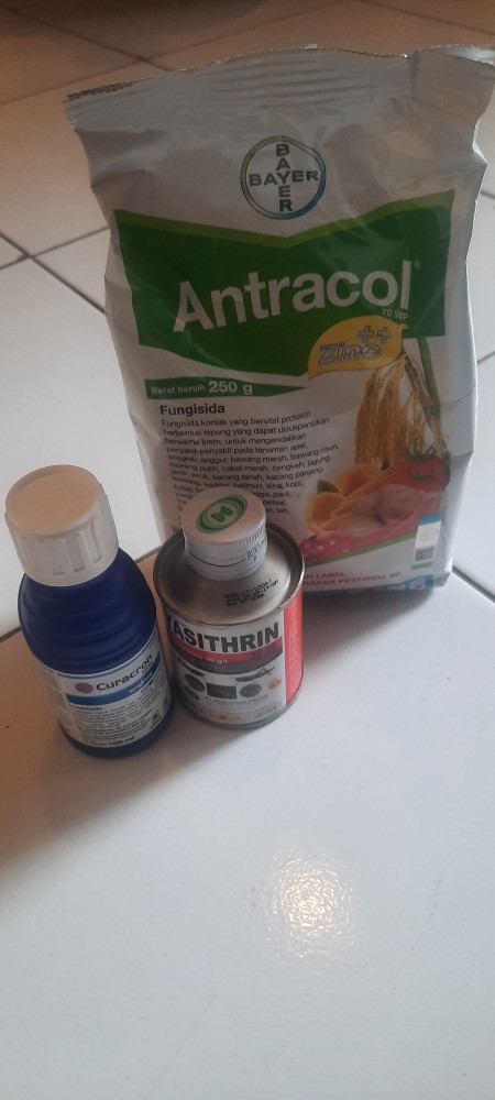 Obat Pertanian Yasitrin 100 Ml Insektisida Racun Hama Belalang
