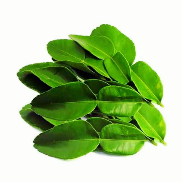 

Daun Jeruk Segar Fresh Lime Leaf Rempah Herbal Empon Bumbu Dapur
