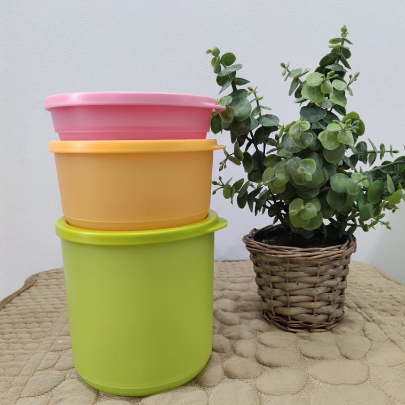 SUMMER GO ROUND  (3pc))Tupperware