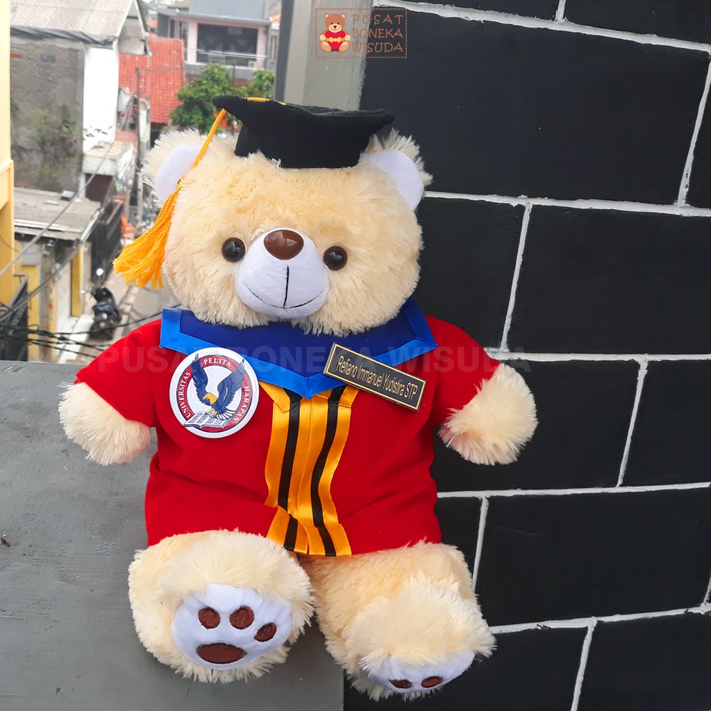 Boneka Teddy Bear Medium Wisuda Universitas Pelita Harapan UPH Kado Wisuda Anak UPH Hadiah Wisuda