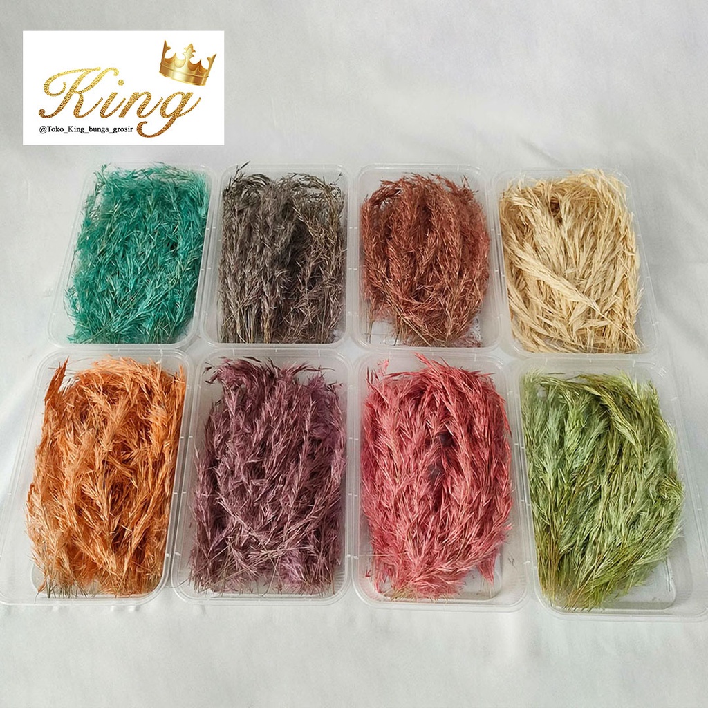 Dried Flower DIY Mini Ravenna Pampas Box Bunga Kering Hias Pajangan Pesta Taman