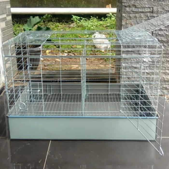 kandang kelinci galvanis
