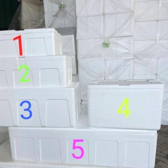 

Box Sterofoam AG 75 75x42x33