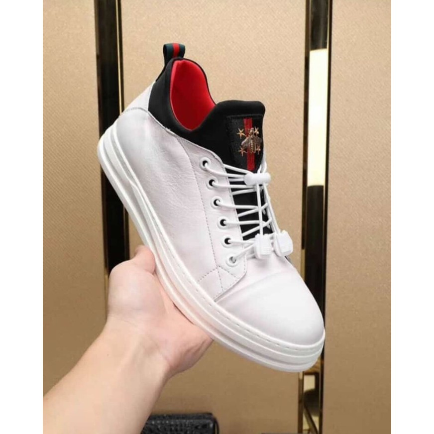 Sepatu Gucci / Sneakers Gucci Premium Quality