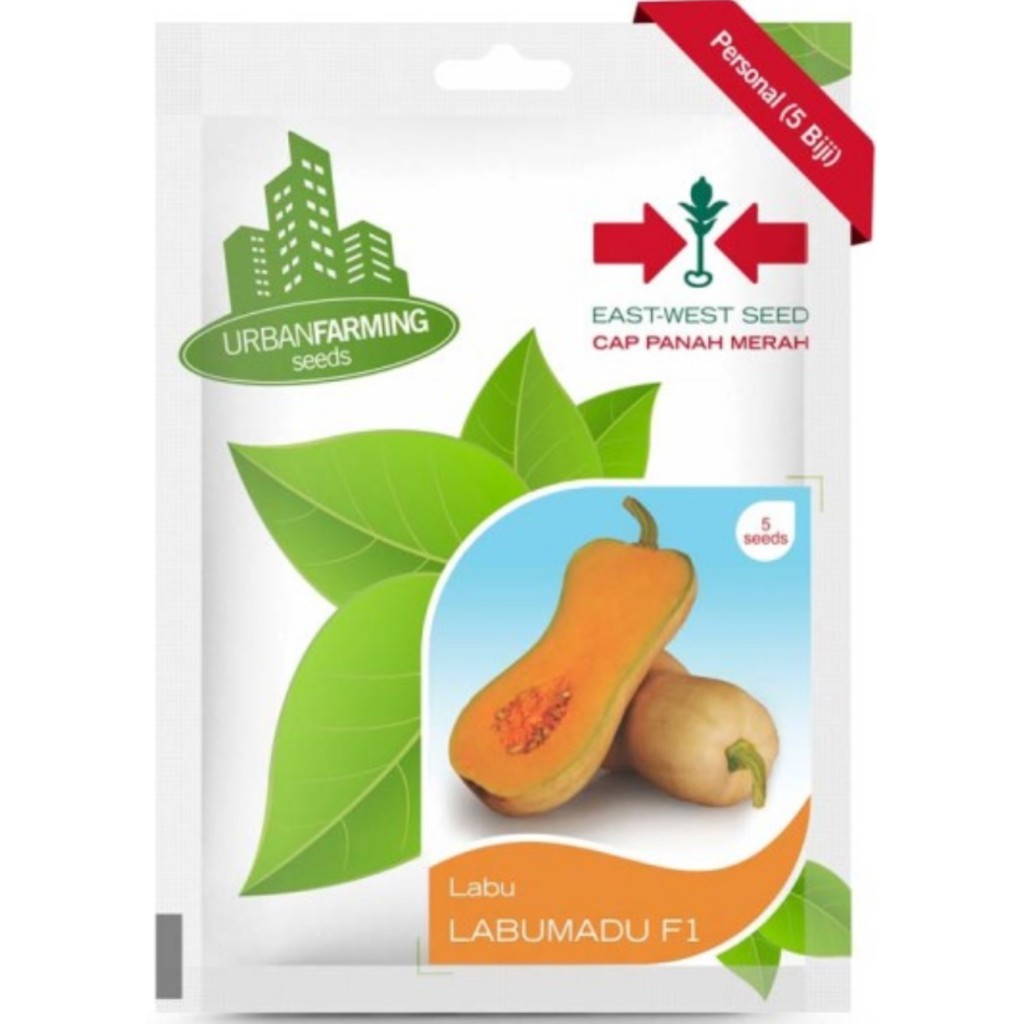 Benih Panah Merah - Labu Madu (Butternut) Labumadu F1