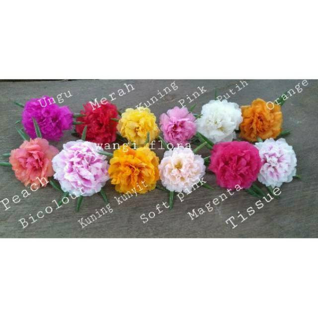 Mix 22 warna id local dan import krokot mossrose portulaca