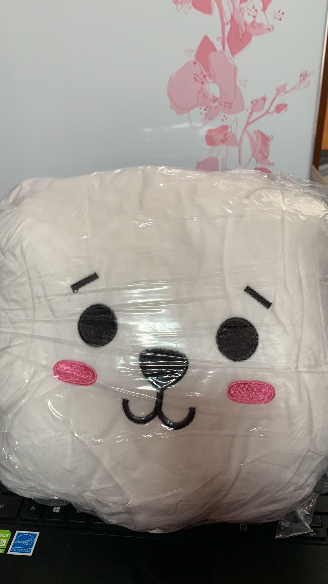 Bantal Selimut 3in1 Balmut Bts Bt21 Impor Murah