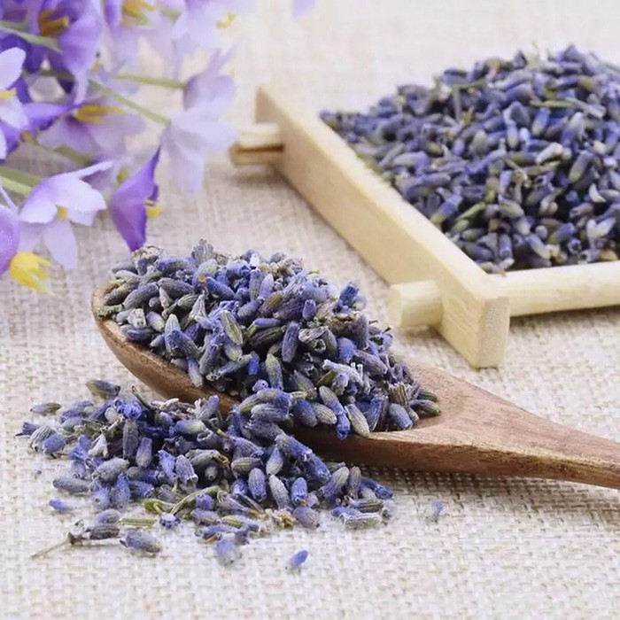 

Limited Stock Dried Asian Lavender / Teh Lavender Asia Kering (RECOMENDED)