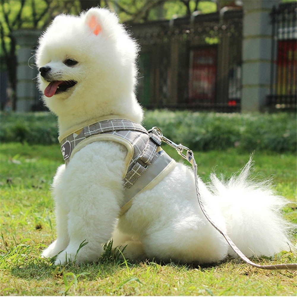 Tali Hewan Peliharaan Jenis Rompi Anjing Kecil | Puppy Harness 1.5-10kg