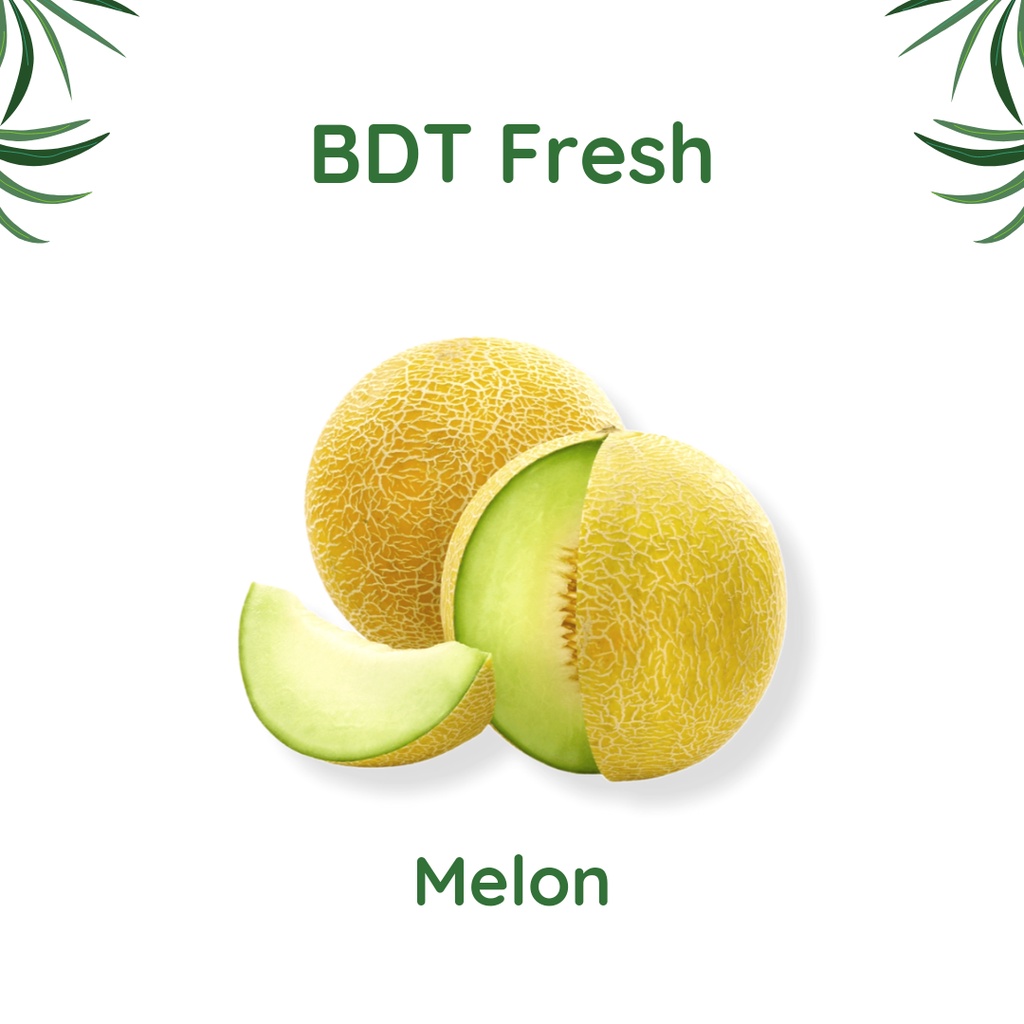 

Melon 1 Pcs