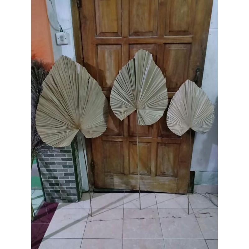Daun Palem Kering Hiasan Dekorasi Rustic