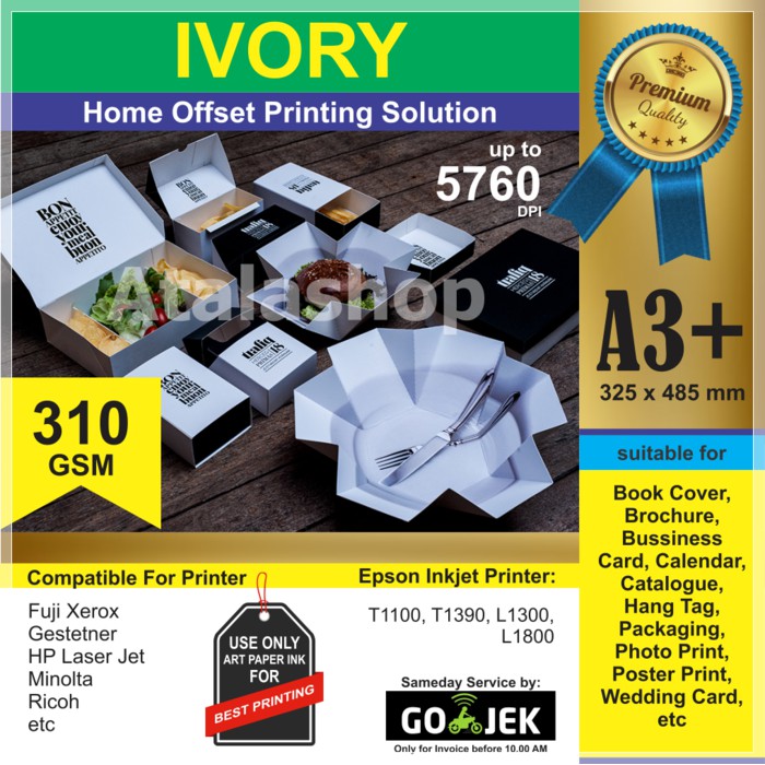 IV300 Kertas KARTON IVORY 300 GSM A3+ (325 x 485 mm) 50 Lembar