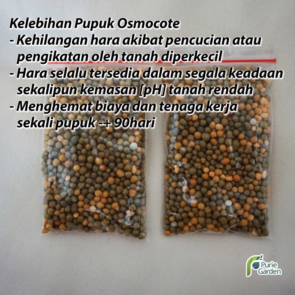 Osmocote Dekastar 17-11-10 Dekastar 6-13-25 Dekastar 13-13-13 Pupuk Buah Tanaman Hias Sayuran 50gr PG KDR