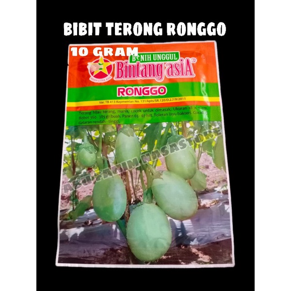 BENIH TERONG RONGGO 10 GRAM / BIBIT TERONG HIJAU BULAT BESAR / BIBIT TERONG PONDOH (BINTANG ASIA)