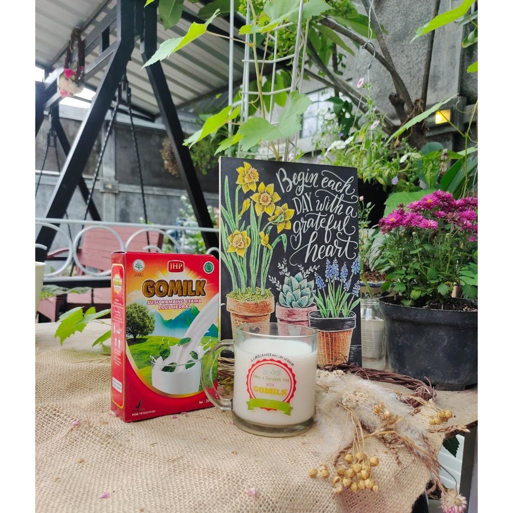 

Susu Go Milk Susu Kambing Etawa Plus Daun Kelor