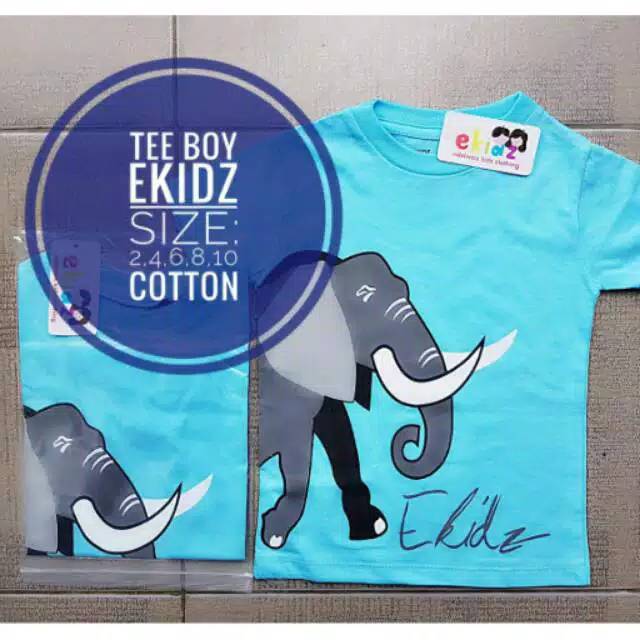 Kaos Teeboy Ekidz | kaos anak laki laki