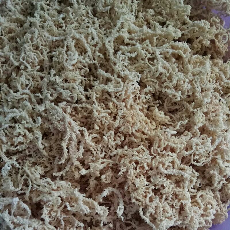 

Rumput Laut kering 100gram