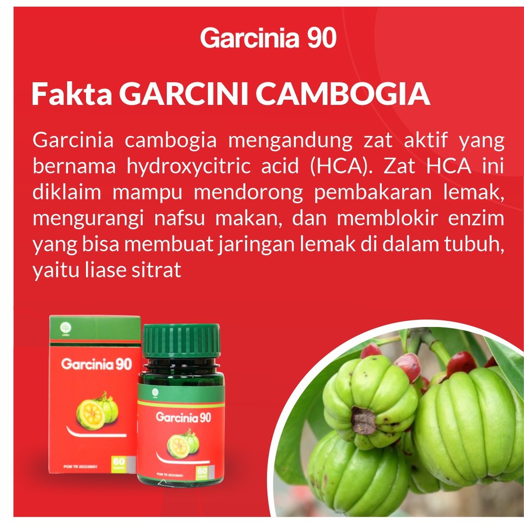 Garcinia 90 - Herbal Pelangsing Kurangi Lemak Tubuh Turunkan Berat Badan Bantu Diet Sehat Obesitas &amp; Tingkatkan Energi &amp; Membersihkan Tubuh dari Racun Bercahaya Isi 60 Kapsul