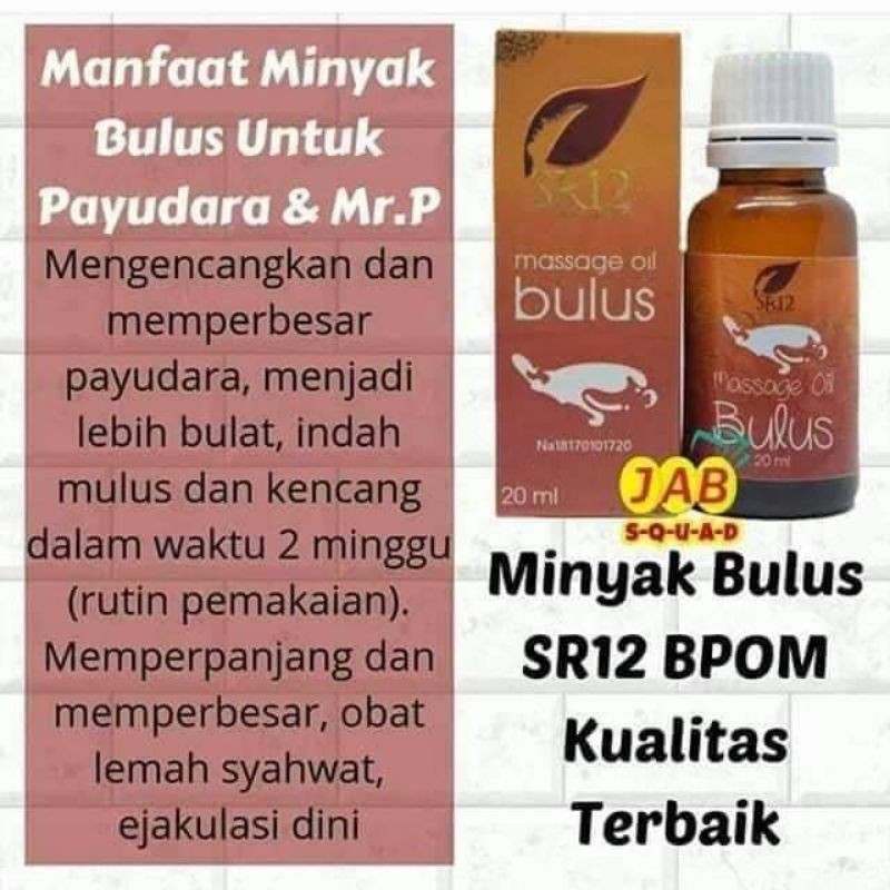 Minyak Bulus Pembesar Payudara