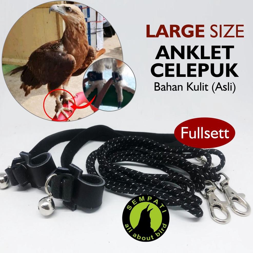 [PREMIUM] ANKLET CELEPUK SIZE LARGE ANGKLET CELEPUK TALI BURUNG HANTU ELANG BIDO BONDOL FALCONRY TYT