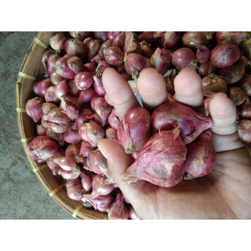 

Bawang merah brebes 1 kg