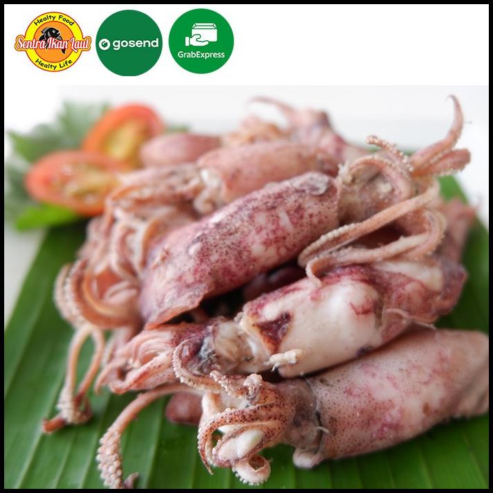 

Cumi Asin Basah / Cumi Asin Super / Cumi Asin Telur 1 Kg