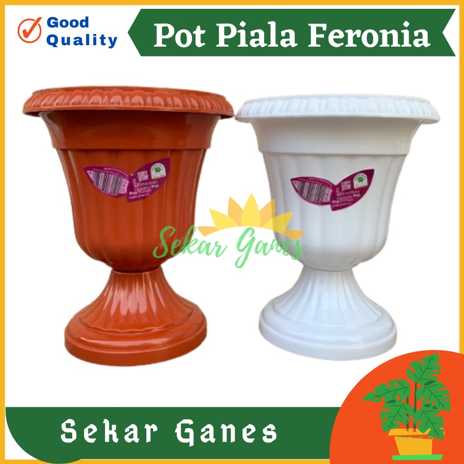 POT PIALA GREEN LEAF FERONIA 6152 PUTIH MERAH BATA TERRACOTA MERAH COKLAT Pot Piala Tinggi Putih Plastik hitam pendek 50 - POT PIALA GREEN LEAF FERONIA 6152 pot bunga pajangan model juara cantik bagus murah