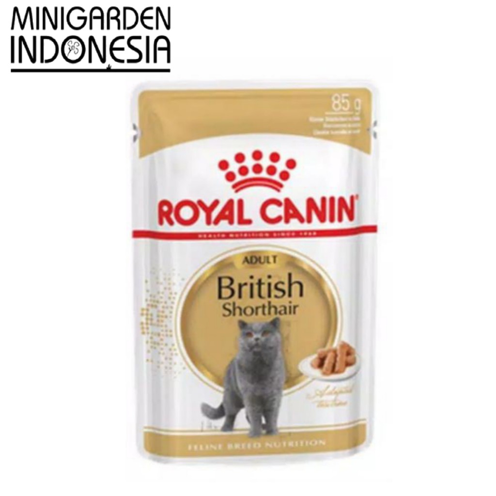 ROYAL CANIN WET BRITISH SHORTHAIR ADULT 85 gram makanan kucing catfood WETFOOD POUCH 85GR