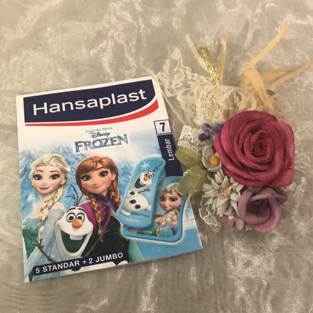 HANSAPLAST DISNEY FROZEN @ MJ