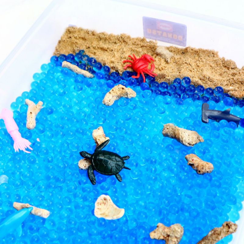 Ocean Sensory Box | Mainan Montessori Sensory Play