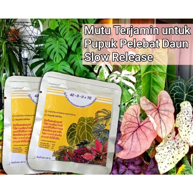 Pupuk Dekastar Osmocote Thailand slow realese 42-0-0 10gram