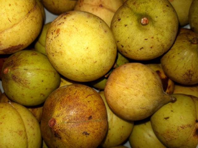 

BUAH PALA SEGAR 500 gram