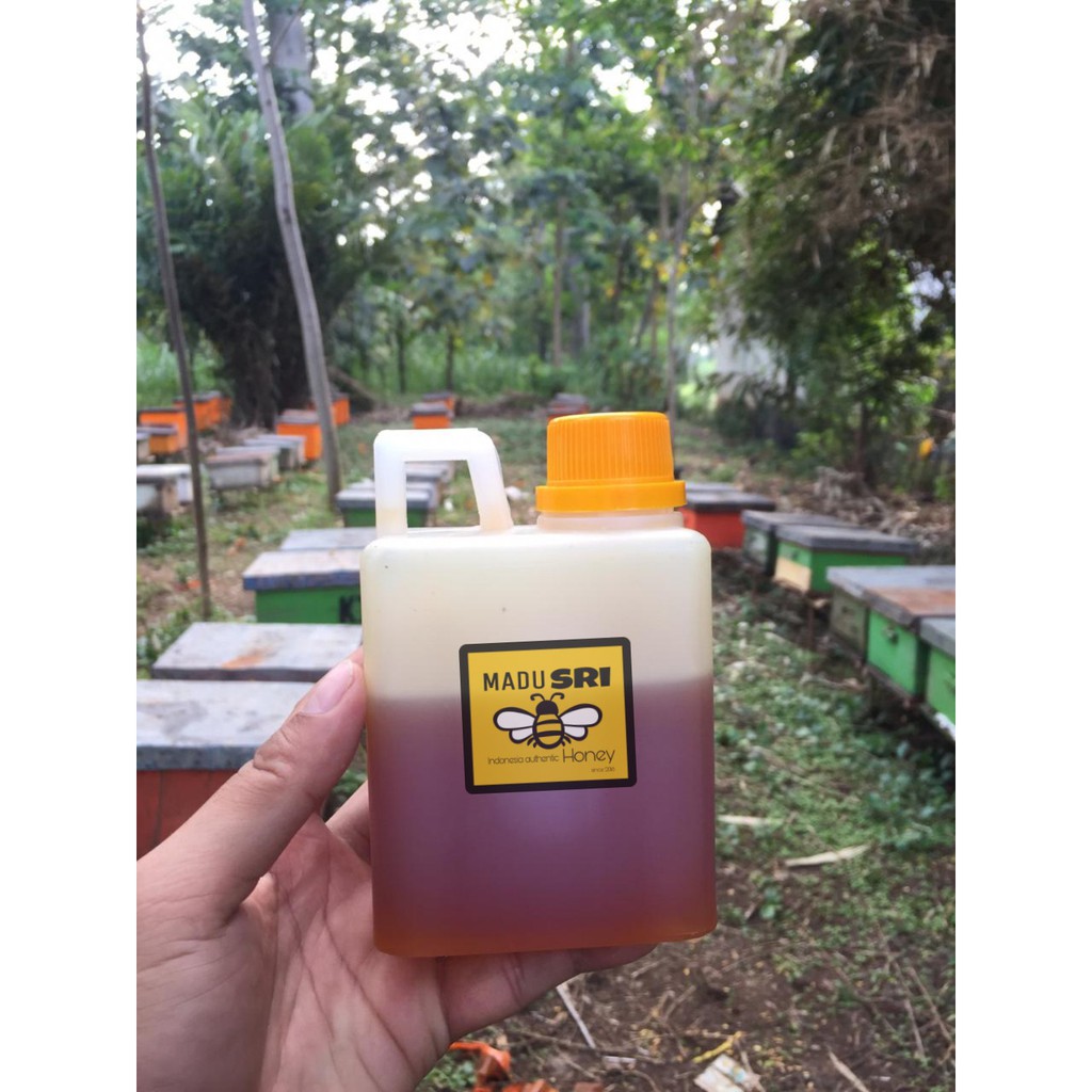 

MADU CAIR MULTIFLORA 500GR