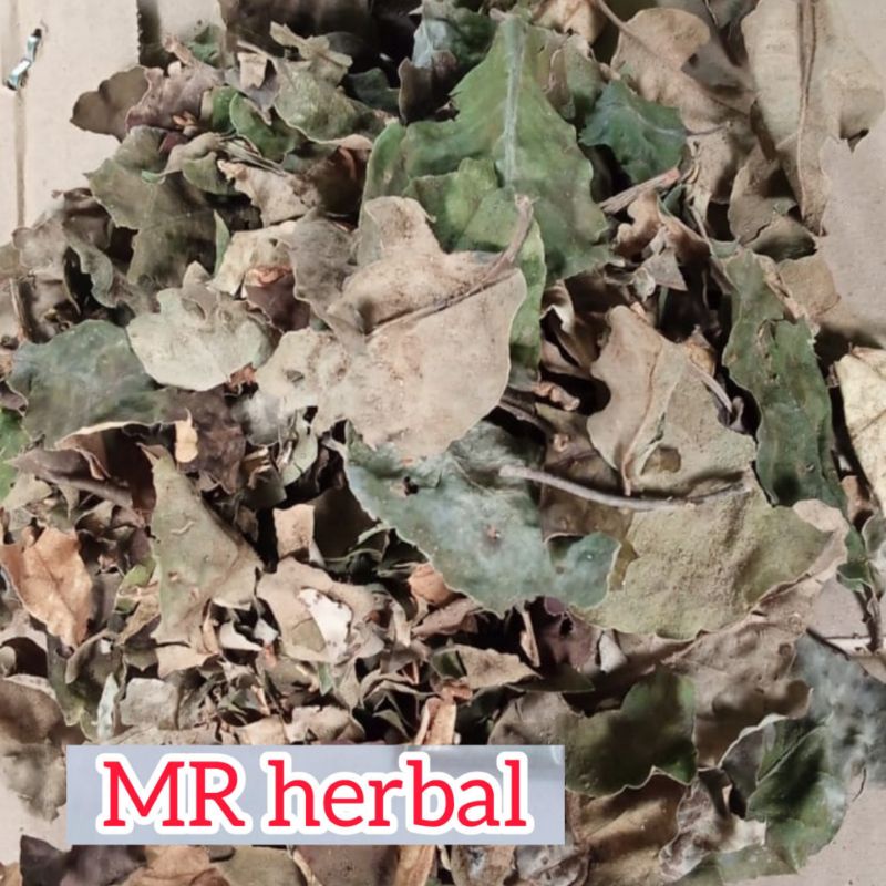 

Jual Benalu jeruk kering per kemasan asli kering jemur