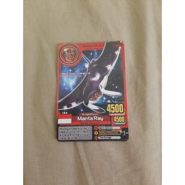 animal kaiser manta ray