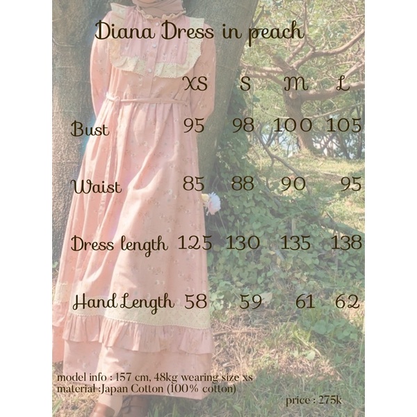 Diana Dress in peach | Vintage Cottagecore Dress | Korean Dress | Himeka Vintage