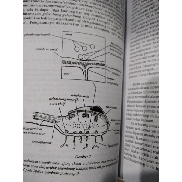 BUKU NEUROLOGI KLINIS DASAR TERMURAH