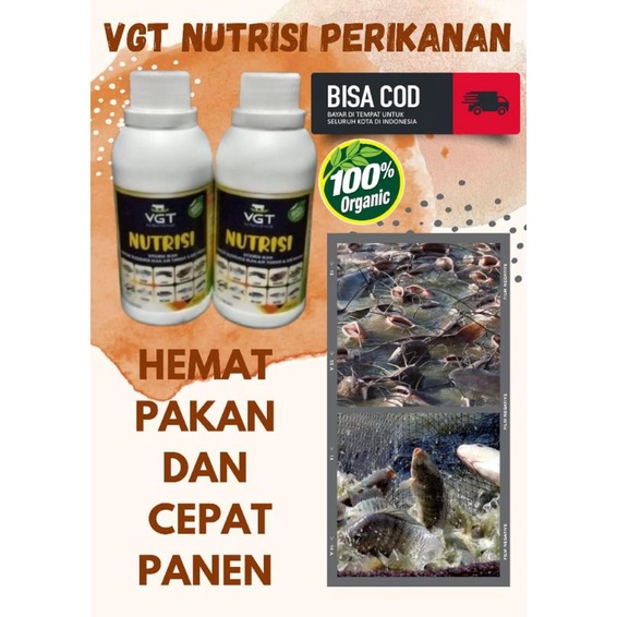 VGT nutrisi vitamin ikan