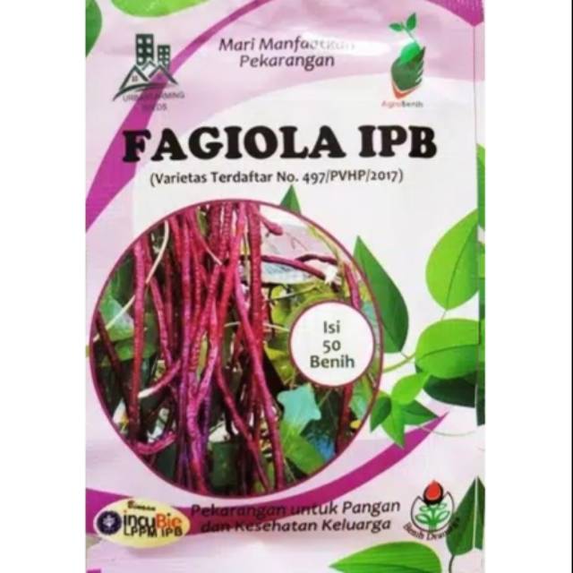 Benih Kacang Panjang Ungu FAGIOLA IPB