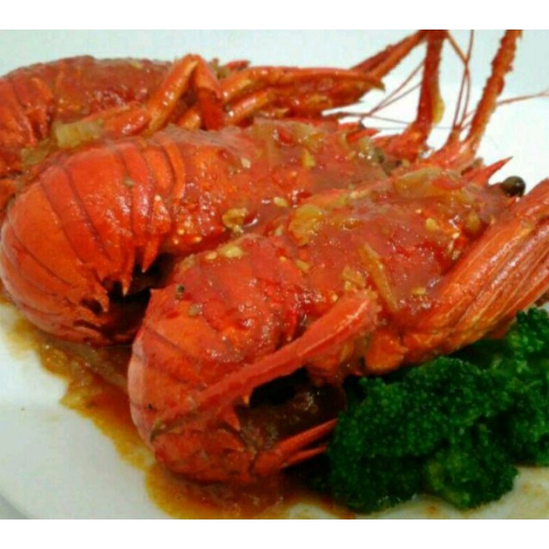 

Lobster Lezat siap Santap