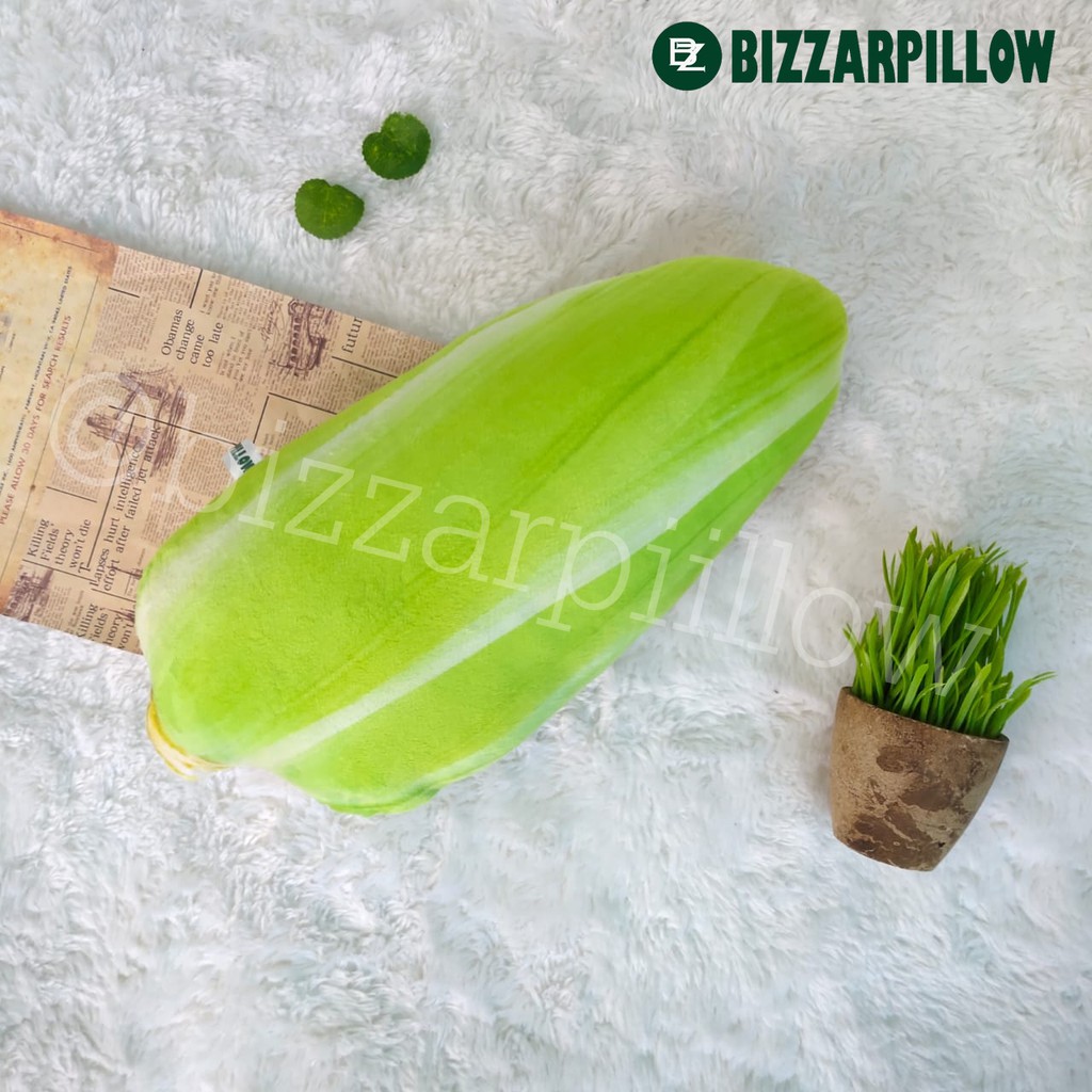 Bizzarpillow Bantal Sayur Sayuran Bantal Jagung size M BZ136