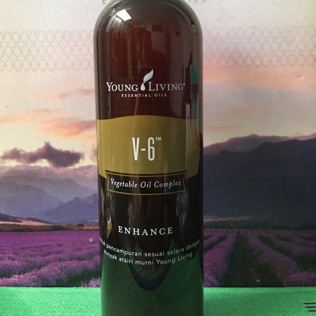 V6 oil YL