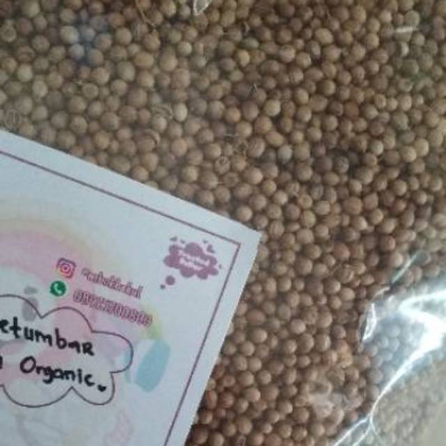 

(1kg) Ketumbar Utuh Organik Asli Tanpa Pemutih